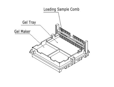 Laboratory Instruments Real Time Observation Apparatus Blue Light Transilluminator Protein Integrated Agarose Gel Horizontal Electrophoresis System